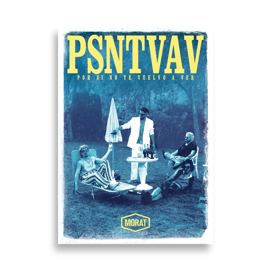 Póster PSNTVAV